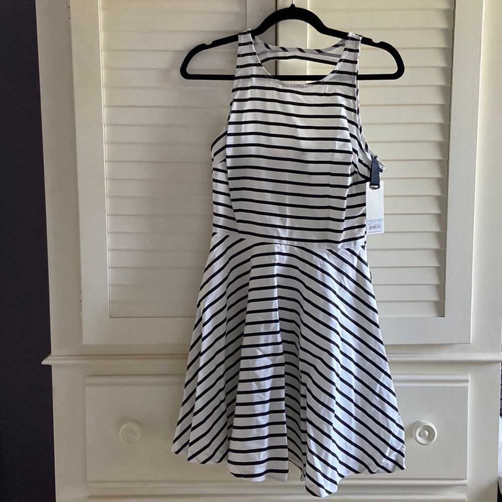 BB Dakota Black & White striped dress